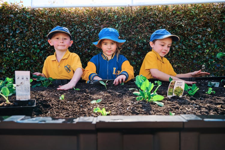 Students gardening at school